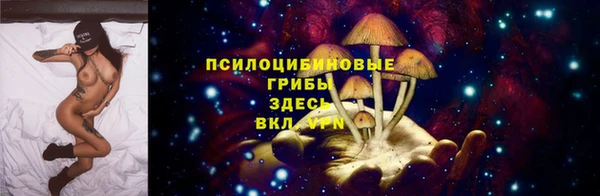 твердый Алексеевка