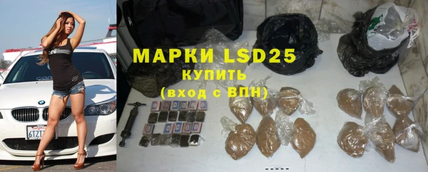 винт Абаза