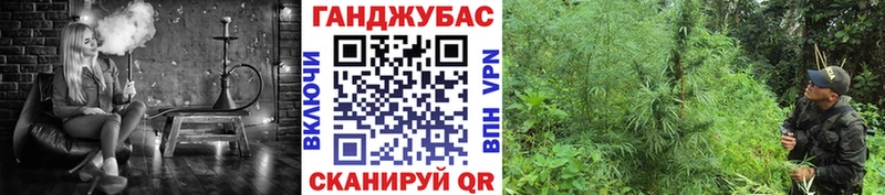 где можно купить наркотик  блэк спрут вход  Марихуана планчик  Белебей 